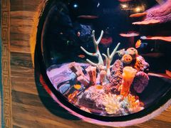 -沈阳海洋探索中心