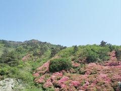 -木兰云雾山