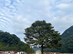 -广州市石门国家森林公园