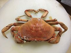 -河州宾馆清真餐厅(文锦南路店)