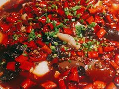 -雲蜀龙阁·金牌水煮鱼(方庄店)