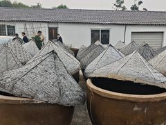 -苏州市吴中区光福窑上花果蜜饯厂