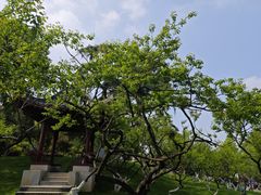 -东湖落雁景区