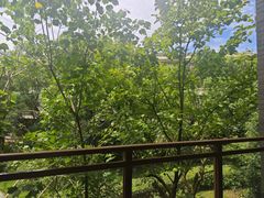 -成都安仁福朋喜来登酒店