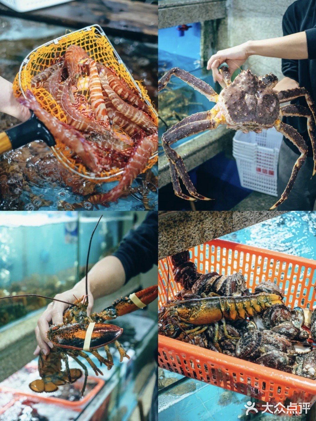 三亚最全棉的旅游攻略-海鲜篇