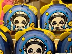 -熊猫屋(宽窄巷子景区店)