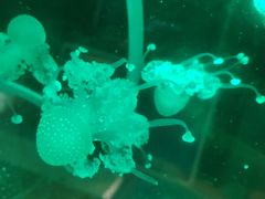 -沈阳海洋探索中心