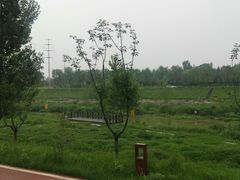 -洨河生态公园