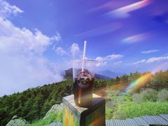 -白草畔自然风景区