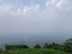 -黄埔油麻山森林公园