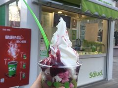 -Salud撒露欧洲冻酸奶(798艺术区店)