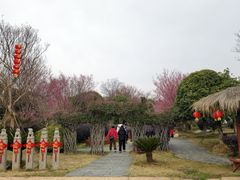 -武汉紫薇都市田园