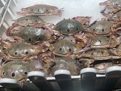 -蓉城四海黑牛烤肉海鲜自助餐厅(宜兴宝龙店)