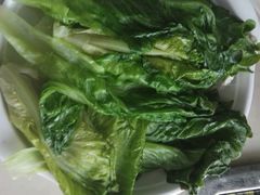 -天鹰观渔(梦园店)