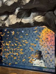 -Zoolung Zoolung动物主题公园(海信广场店)