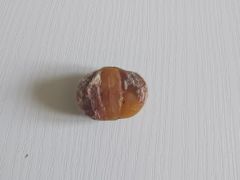 -栗满秋(燕丰西坝河店)