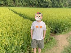 -贵阳市花溪国家城市湿地公园