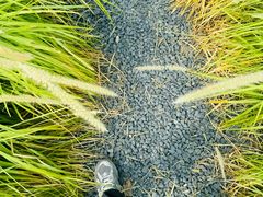 -汉长安城未央宫国家考古遗址公园