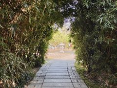 -江心屿景区