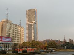 -紫峰大厦