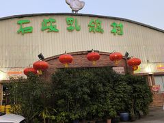 -石岐乳鸽村(桥观坊南四巷店)
