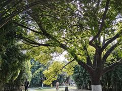 -堤角公园