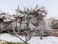 -丰台花园