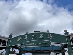 -荷兰花海