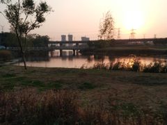 -蒲河岛湿地公园