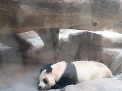 -宁波野生动物园
