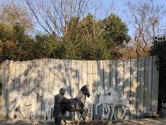 -白马涧龙池景区