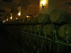 -北京张裕爱斐堡酒庄