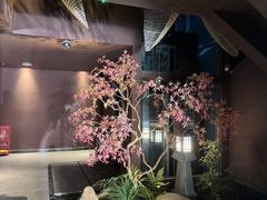 -椿杨樘·明康泡浴养生馆(重庆店)