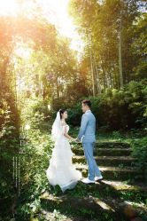 点击看大图 -金夫人婚纱摄影