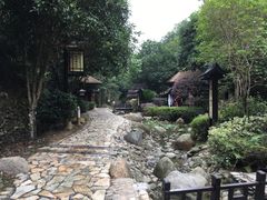 -明月山天沐温泉度假村