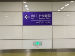-郑州新郑国际机场-T2航站楼