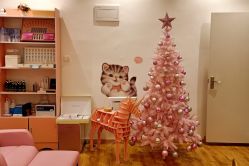 -Lab Season惜辰颜究社