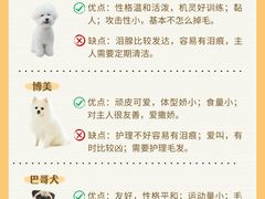 -翊宠yipet猫狗购宠庄园犬舍•猫舍