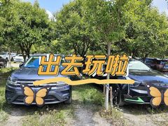 -周浦花海-停车场