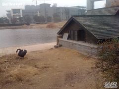 -同济大学(嘉定校区)