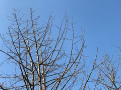 -白鹭湾湿地公园