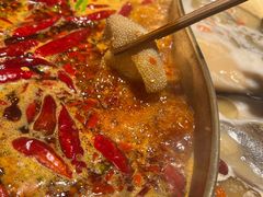 -小龙坎火锅(春熙太古里店)