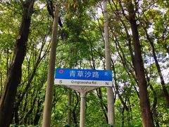 -上海长兴岛郊野公园