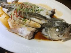 -珍藏湘约(科技园店)