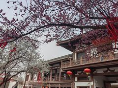 -西安青龙寺遗址景区