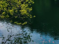 -昆嵛山石门里景区