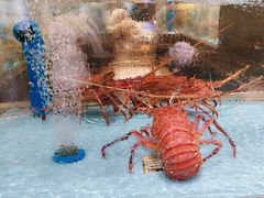 -阿伟海鲜楼·福建菜(延寿店)