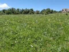 -白草畔自然风景区