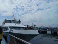 -玫瑰海岸文化旅游度假区