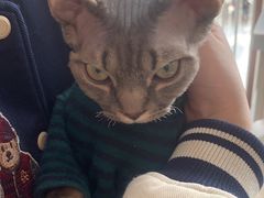 -佑安动物医院·全科·内窥镜中心(幸福巷店)